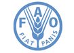 La FAO publica su estrategia para las asociaciones con organizaciones de sociedad civil/ FAO releases its strategy for partnerships with civil society organizations